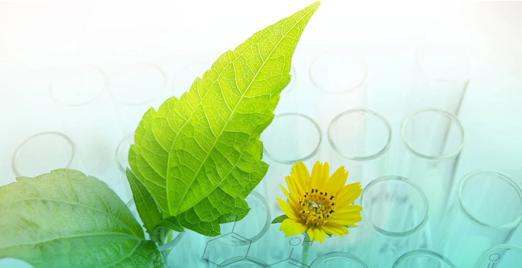 The Essential Role of Sulfuric Acid in Fertilizer Production