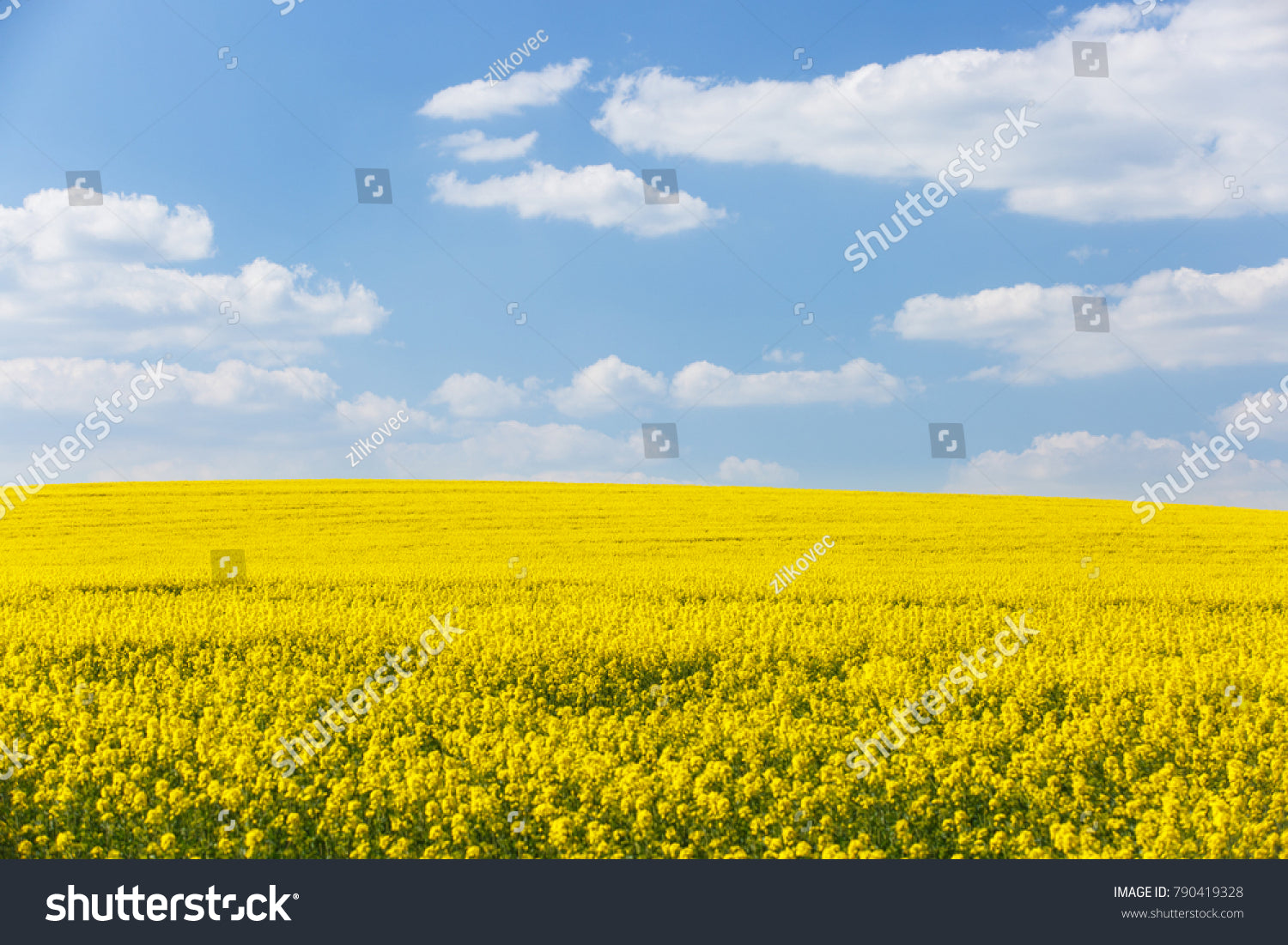 Reliable Bulk EDDI Supplier in Mexico